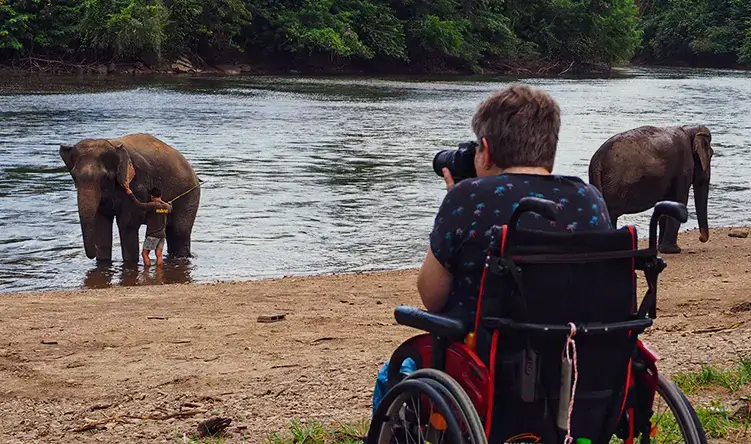 Turista en silla de ruedas tomando una fotografía de un elefante