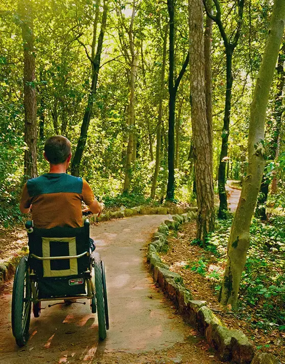 Usuario paseando en silla de ruedas por sendero, Duino Sentiero rilke